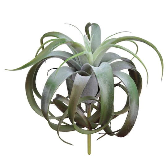 Green Tillandsia Pick